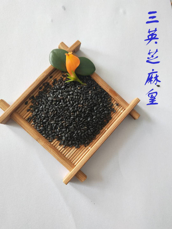 黑白芝麻批發(fā) 沈陽芝麻廠家直銷 量大價格低